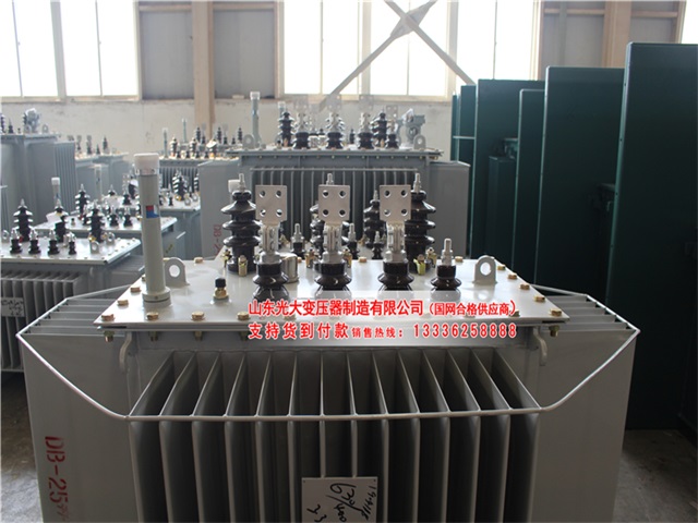 龙里S13油浸式变压器