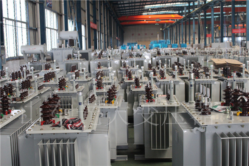 龙里S22-800KVA/10KV
